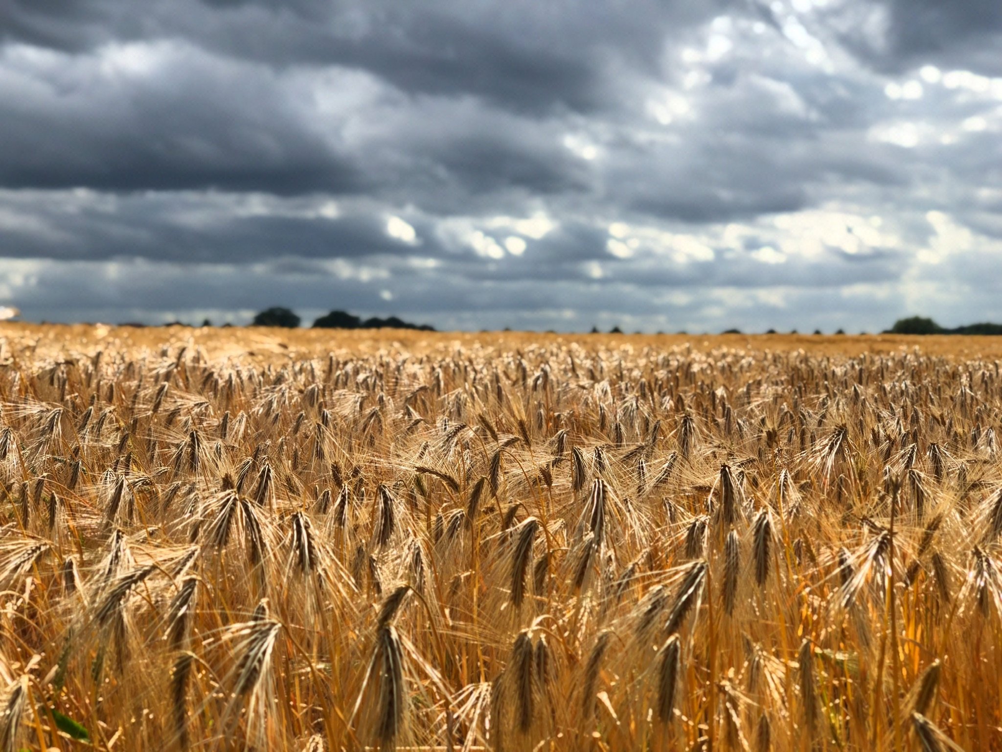 Schietwetter in Deutschland